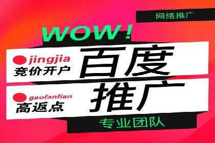 sem托管服务案例：如何实现广告投放精准化